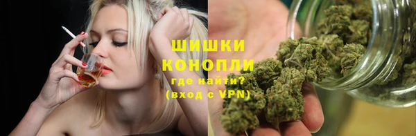 ПСИЛОЦИБИНОВЫЕ ГРИБЫ Гусиноозёрск