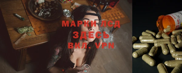 a pvp Гусь-Хрустальный