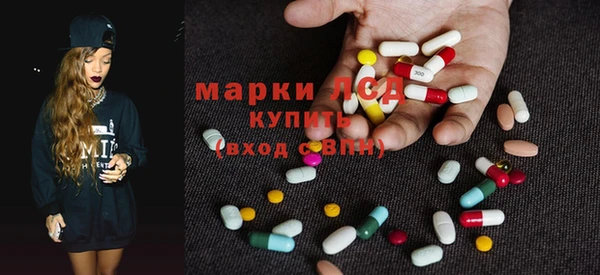 ПСИЛОЦИБИНОВЫЕ ГРИБЫ Гусиноозёрск