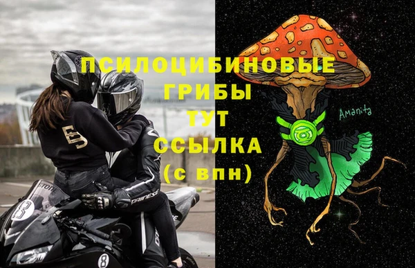 ПСИЛОЦИБИНОВЫЕ ГРИБЫ Гусиноозёрск