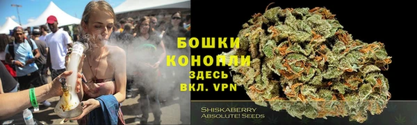 ПСИЛОЦИБИНОВЫЕ ГРИБЫ Гусиноозёрск