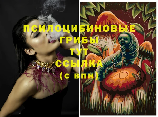 ПСИЛОЦИБИНОВЫЕ ГРИБЫ Гусиноозёрск