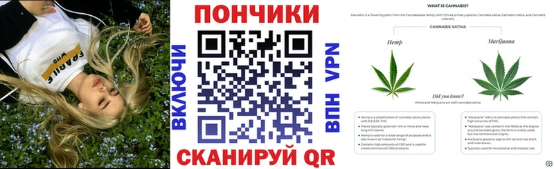 где купить наркоту  Новая Усмань  Бошки марихуана сатива 